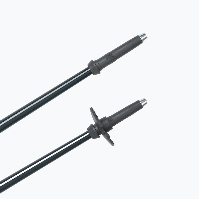 Bastoni da sci Fischer RC4 Noize grey / blue 5