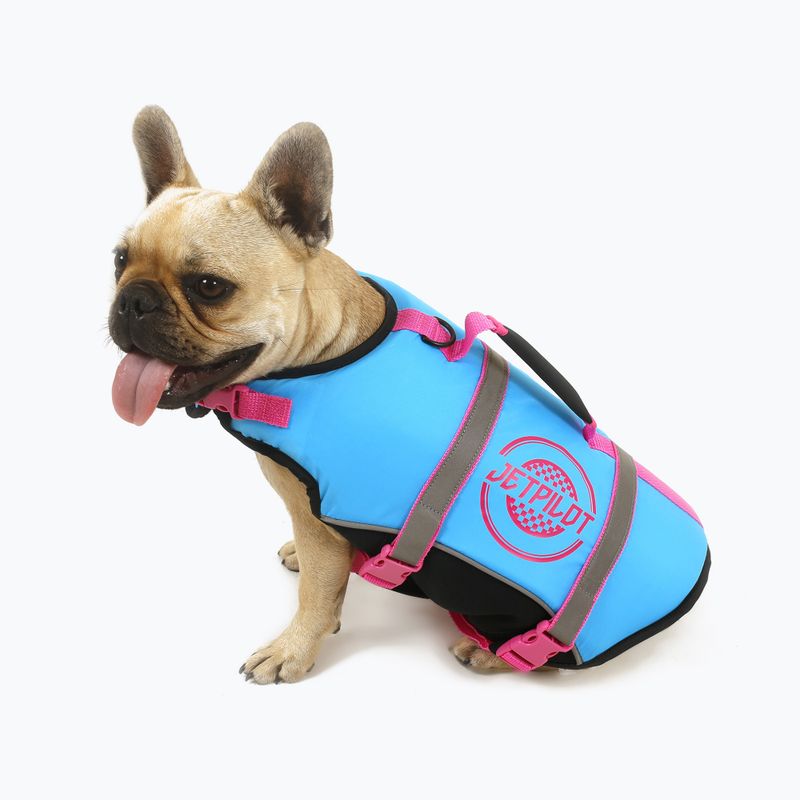 Gilet per cani Jetpilot blu