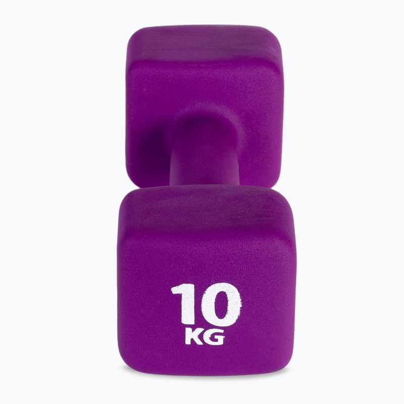 Manubrio in neoprene 10 kg Pure2Improve viola P2I201460 3