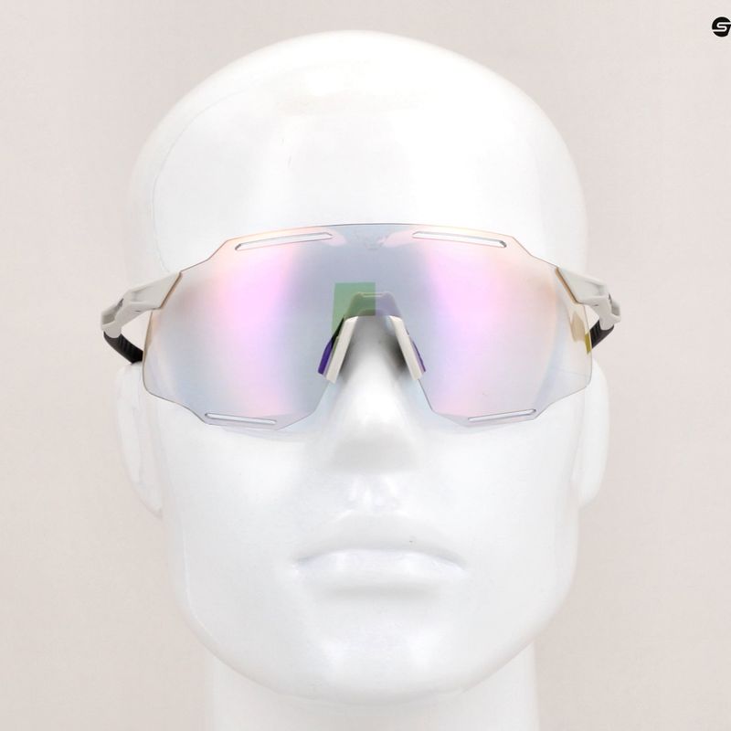 Occhiali da sole DYNAFIT Alpine Evo nimbus/black out 7