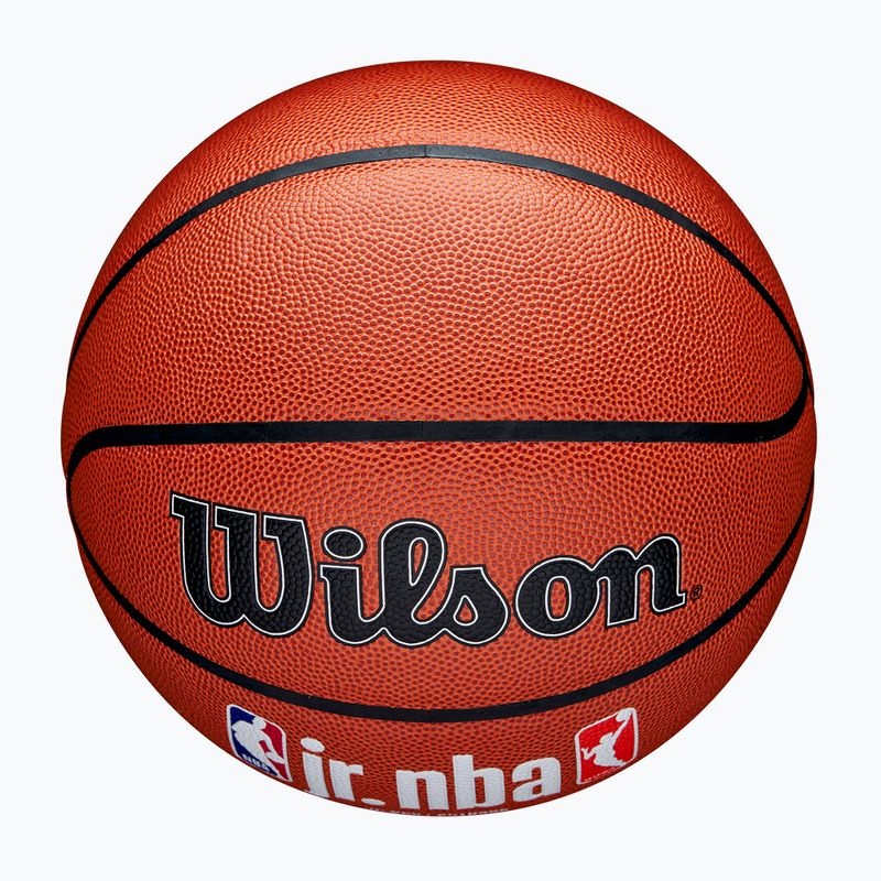 Wilson NBA JR Fam Logo basket Indoor outdoor marrone taglia 7 4