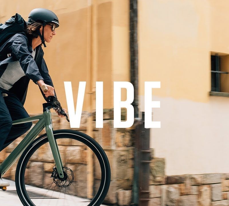 Orbea Vibe H10 EQ 36V 6.9Ah 248Wh 2022 rosso scuro metallizzato bici elettrica 15