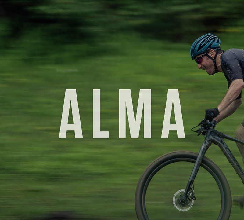 Orbea Alma H30 blu/rosso mountain bike 6