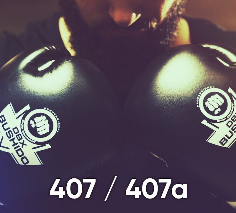 DBX BUSHIDO ARB-407 guanti da boxe bianco/nero 23