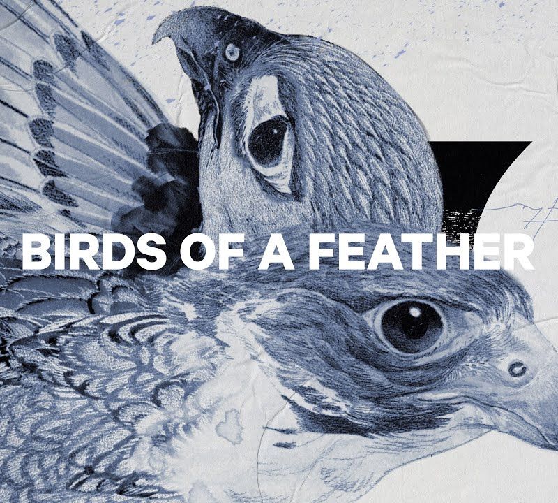 Snowboard donna CAPiTA Birds Of A Feather multicolore 12