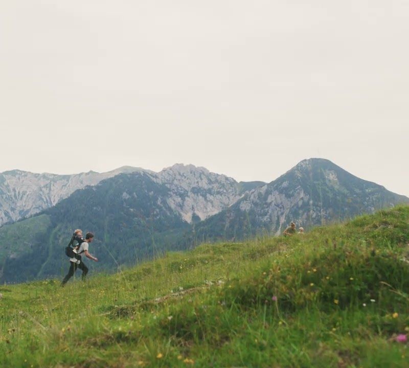 Thule portabambini Sapling verde 3204539 10