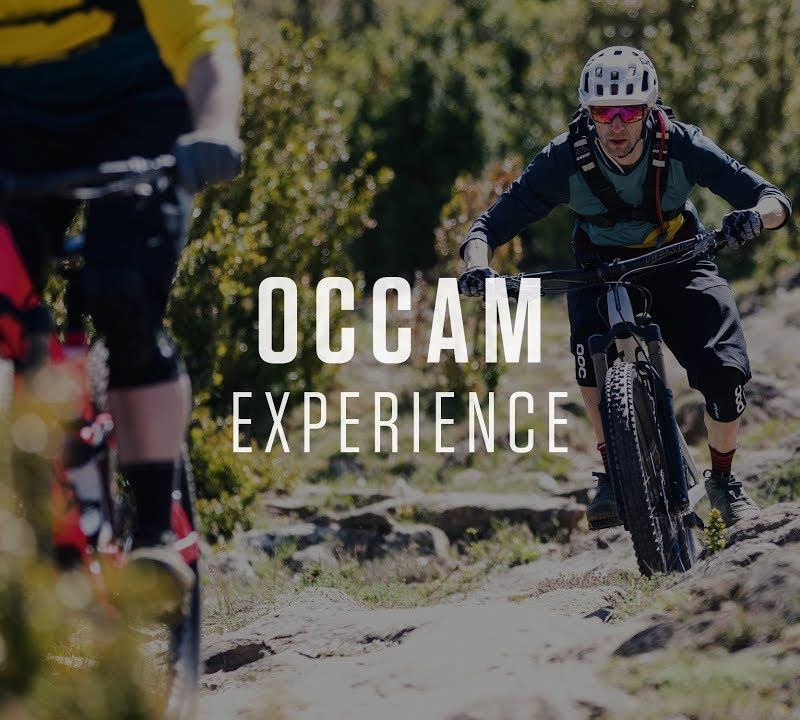 Orbea Occam H10 2023 verde scuro/verde lime mountain bike 3