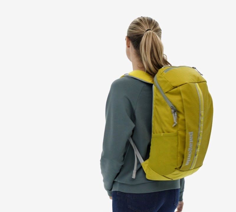 Zaino da trekking Patagonia Black Hole Pack 25 l pervinca chiaro 7