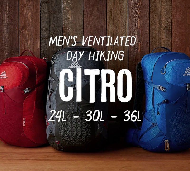 Zaino da trekking Gregory Citro 24 l blu volt da uomo 8