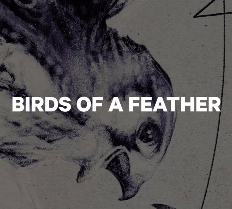 Snowboard donna CAPiTA Birds Of A Feather 2021 13