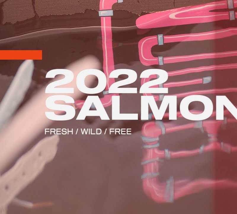 Slingshot Salmon wakeboard blu/nero/rosa 9