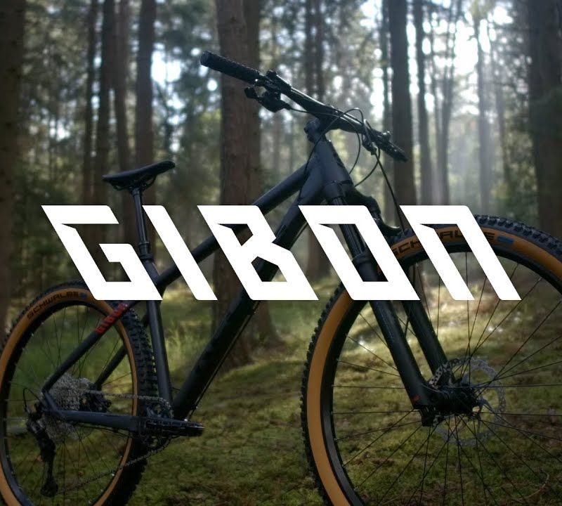 Kellys Gibon 10 29" mountain bike blu 16