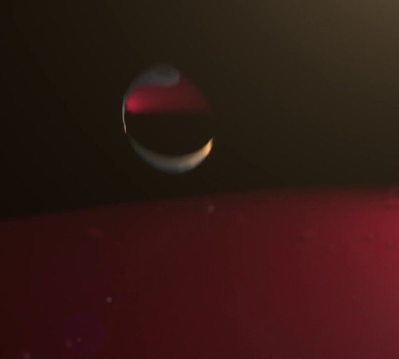 Giacca da vela donna Helly Hansen Crew Hooded Midlayer grigio nebbia 6