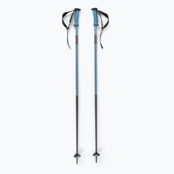 Salomon Polar Pro bastoncini da sci blu copen