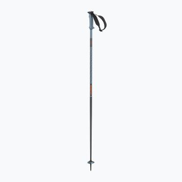 Salomon Polar Pro bastoncini da sci blu copen