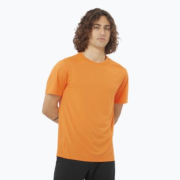 Maglietta Salomon Outline Tee Uomo color curcuma