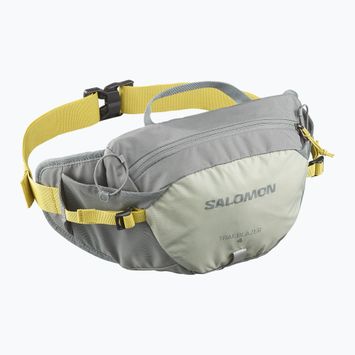 Salomon Trailblazer 4 l sedona salvia/seagrass/verde rene