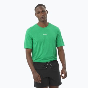 Maglietta da corsa Salomon SHAKEout Core Parakeet da uomo