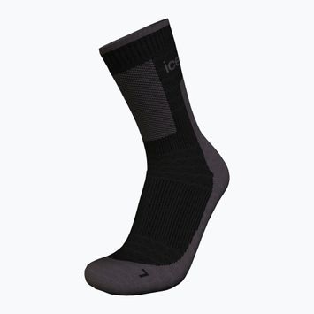Icebreaker calze da trekking da uomo Merino Hike+ Medium Crew nero/ossidiana