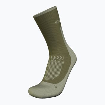 Icebreaker calze da trekking da uomo Merino Hike+ Light Crew loden/lichen