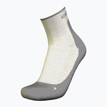 Calzini da trekking Icebreaker da donna Merino Hike+ Light Mini ecru hthr/alloy