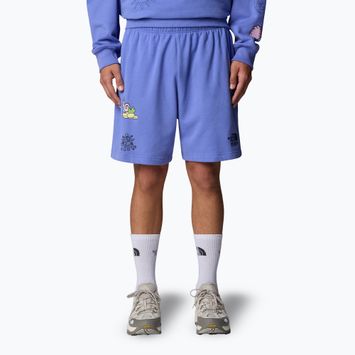 The North Face Mountain Cleanup Pantaloncini blu virtuali rilassati