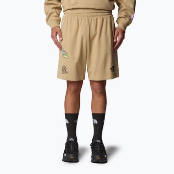 The North Face Mountain Cleanup Pantaloncini rilassati in pietra cachi