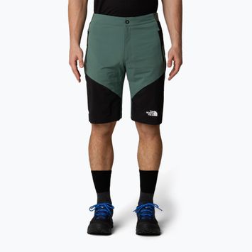 Pantaloncini da trekking uomo The North Face Felik Slim Tapered Short verde anatra/nero
