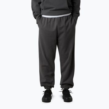 Pantaloni da uomo The North Face Expedition Celebration Relaxed Jogger Reg grigio antracite