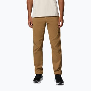 Pantaloni da trekking da uomo Columbia Cosmiques Pro Nylon delta