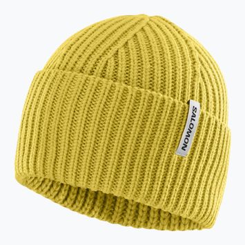 Cappello invernale Salomon Snowbird whisper cress green