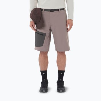 Pantaloncini da trekking da uomo Salomon Outerpath Utility iron