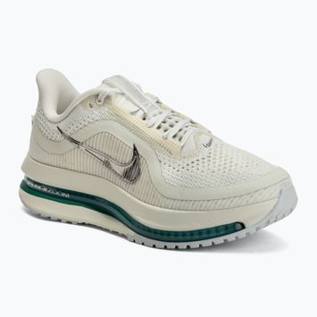 Scarpe da running da donna Nike Pegasus Premium sea glass/malachite/metallic silver