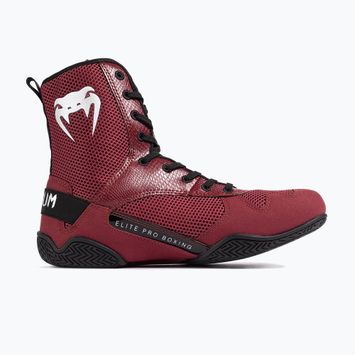 Scarpe da boxe Venum Elite, vino, mele e logo argento