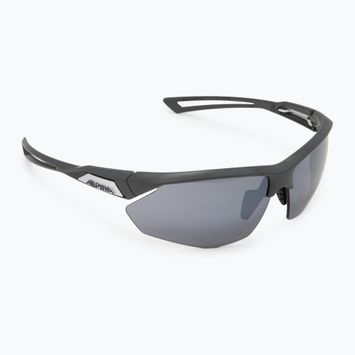 Occhiali da sole Alpina Nylos HR grigio notte opaco/argento a specchio