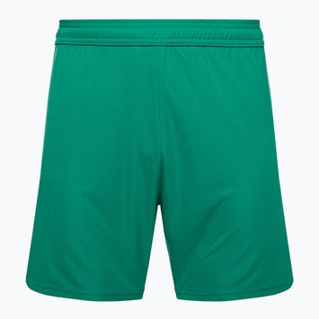 Capelli Sport Cs One Adult Match verde/bianco pantaloncini da calcio per bambini