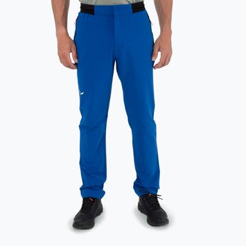 Pantaloni da trekking da uomo Salewa Pedroc 2 DST Reg electric