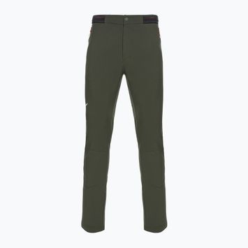 Pantaloni da trekking da uomo Salewa Pedroc 2 DST Reg oliva scuro