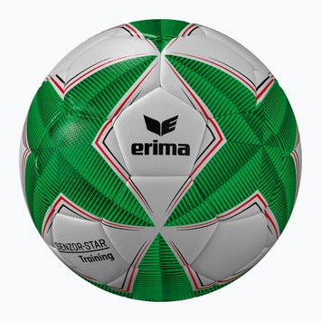 ERIMA Senzor Star Training verde taglia 4 calcio