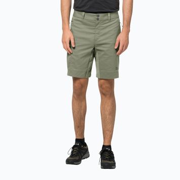 Pantaloncini da trekking Jack Wolfskin Activate Tour da uomo verde acqua