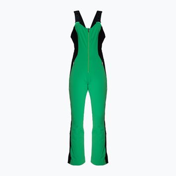 Pantaloni da sci Descente Velche 19 bio verde