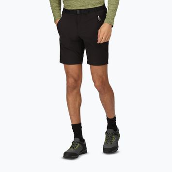 Pantaloncini da trekking Regatta Xert Stretch III da uomo, nero