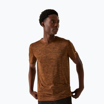 Camicia da trekking da uomo REGATTA Fingal Edition in volpe