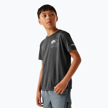 Maglietta da bambino REGATTA Alvarado IX seal grigio marna
