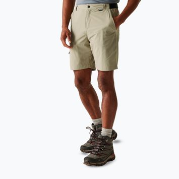 Pantaloncini da trekking da uomo REGATTA Travel Light Packaway sabbia dorata