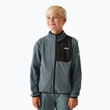 Felpa in pile da bambino REGATTA Frankie Full Zip tempo burrascoso