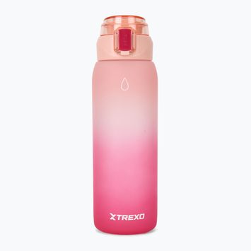 Borraccia TREXO Haust 1000 ml pink