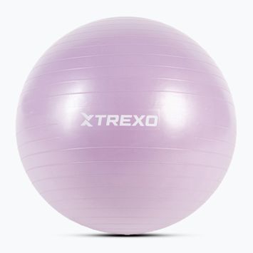 Palla da ginnastica XTREXO TXO-B4Z008-VT 65 cm viola