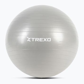 XTREXO Gymball TXO-B4Z008-GY 65 cm grigio