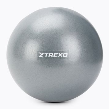 XTREXO mini palla da ginnastica TXO-B4Z010-GY 20 cm grigio